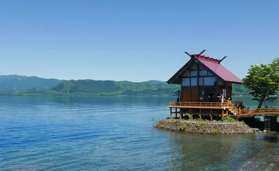 蘇波麟投資與生活