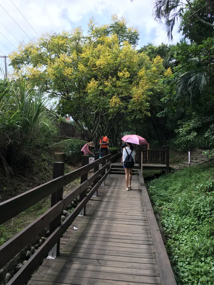 前往北側入口的步道是好走的木棧道