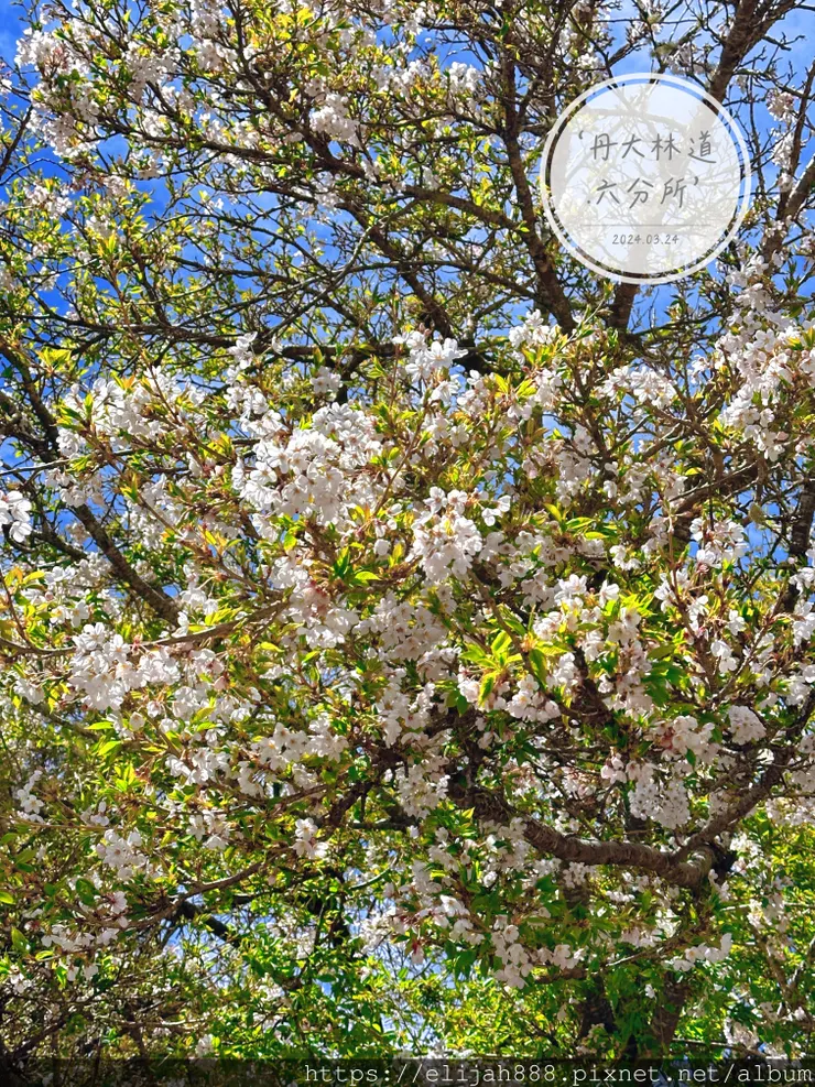 【丹大林道.六順山.七彩湖】七彩湖的日出.七彩妹池.海天寺.