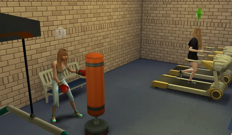 歐娜跟桑雅一起在學校健身教室健身~