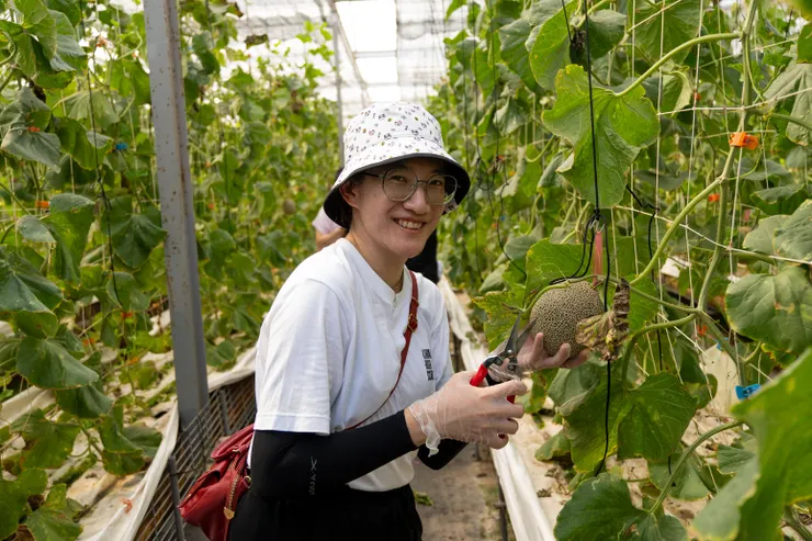 一日農婦體驗採果！