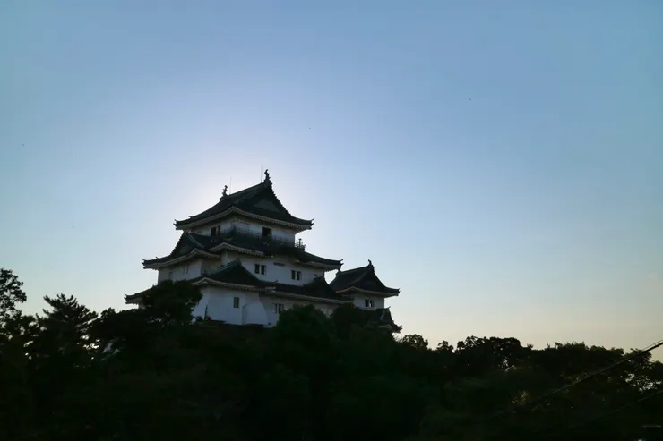 夕陽的和歌山城頗美麗