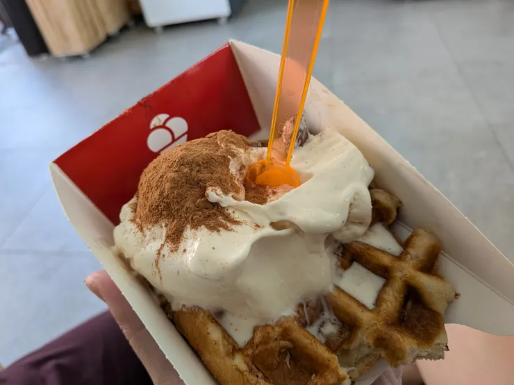 Photo: Zora @ Leuven, Belgium. Aug 12, 2025.