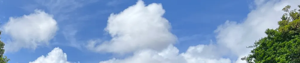 bookarchery的沙龍