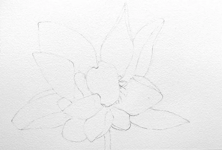 W74 線稿 （構圖參考網路攝影）