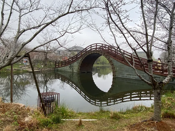 拈花灣一景-跨水拱橋 ([陳傳義]拍攝)