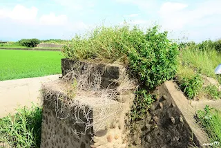 南端橋台