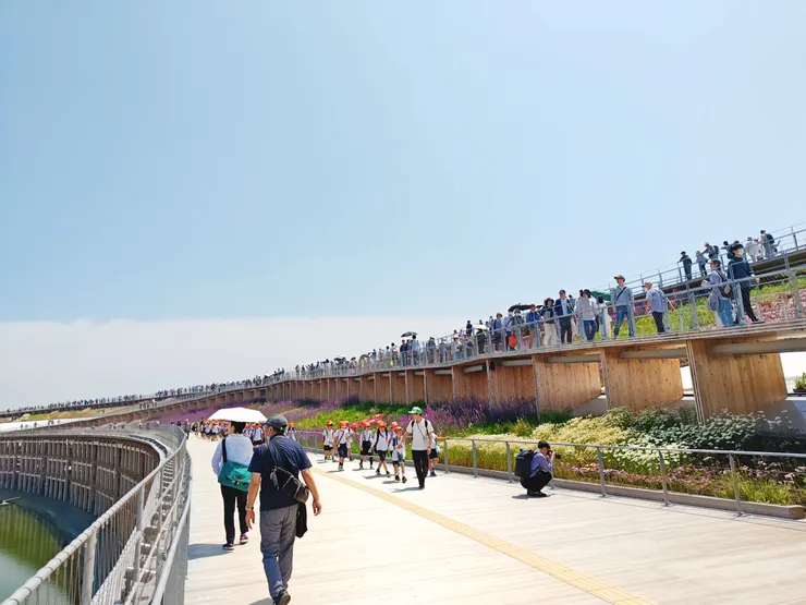 大屋根つながりの海段