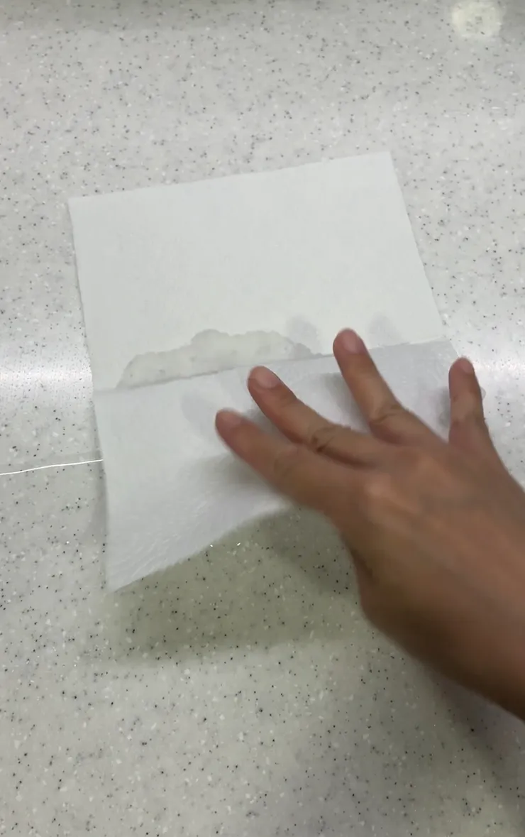 先用1張春風情人寵物紙巾來擦