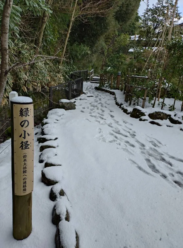 　　　　　　本多公園綠的小徑變成白的小徑啦！　　　　　　