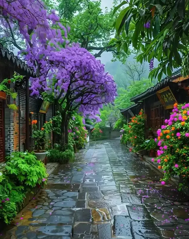 雨後花團錦簇示意圖