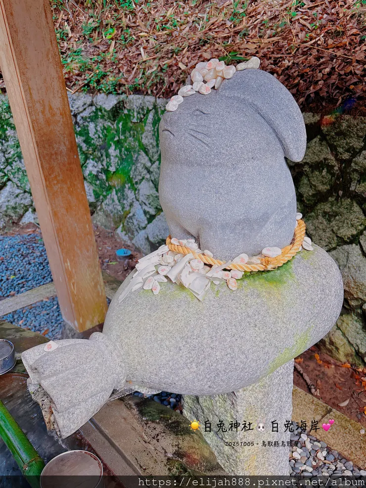 【2025初秋.鳥取県鳥取市/大山町】白兔海岸/白兔神社/鳥