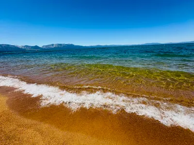 活在當下，是心靈自由的啟點