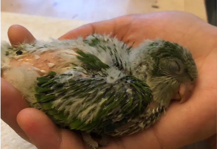 Day 19，別別別緊張，沒死，就是睡的太熟了啦！