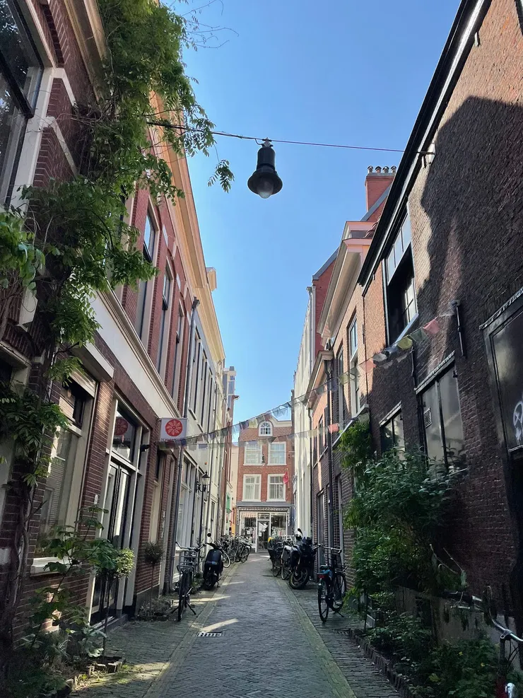 非常美麗的巷子