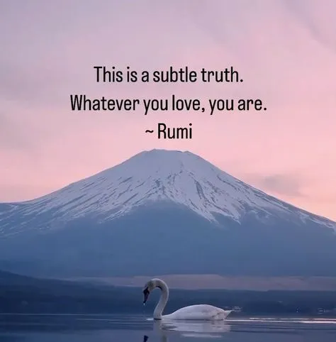 “微妙的真實就是你愛著什麼 你就是什麼”