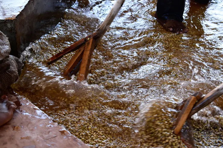 水洗最高G1等級 烏拉嘎鎮 多莓村 