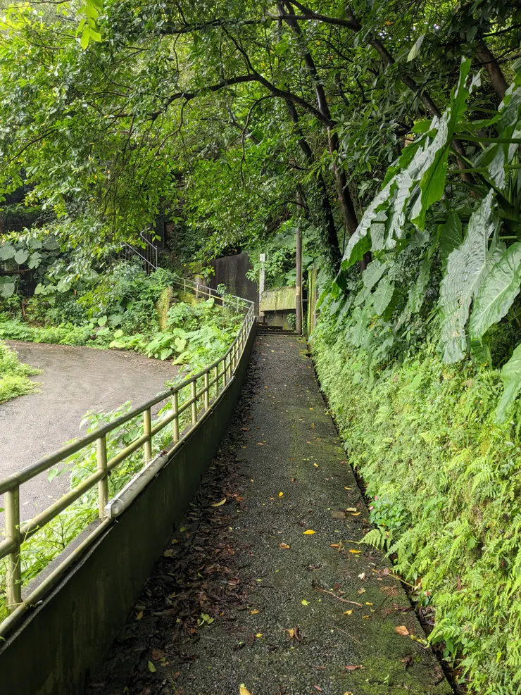 快到銘傳國中前，有一條左轉路徑，沿著走就可以通往紅淡山