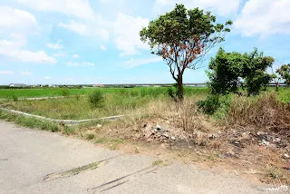 (往長短樹方向拍攝)