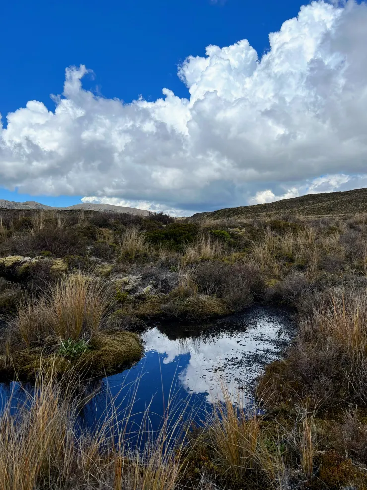 清澈的小池倒映藍天白雲