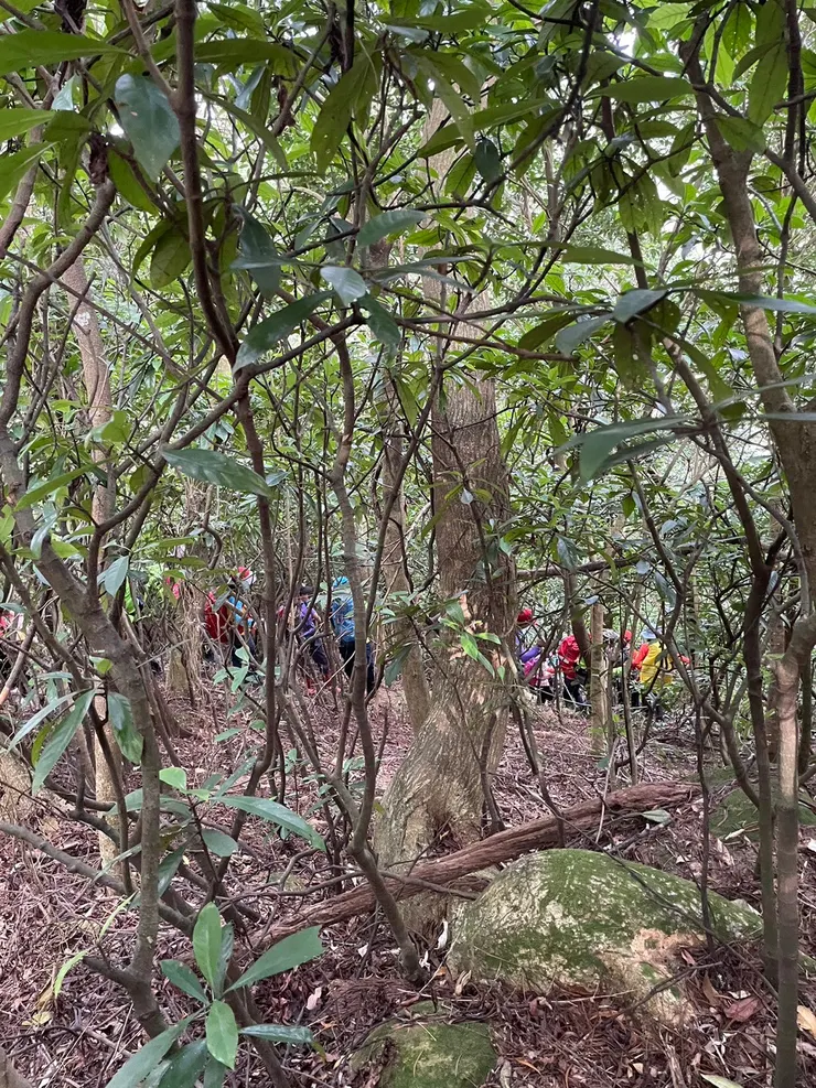 新開發的路，路徑還不夠成熟，走起來比較辛苦