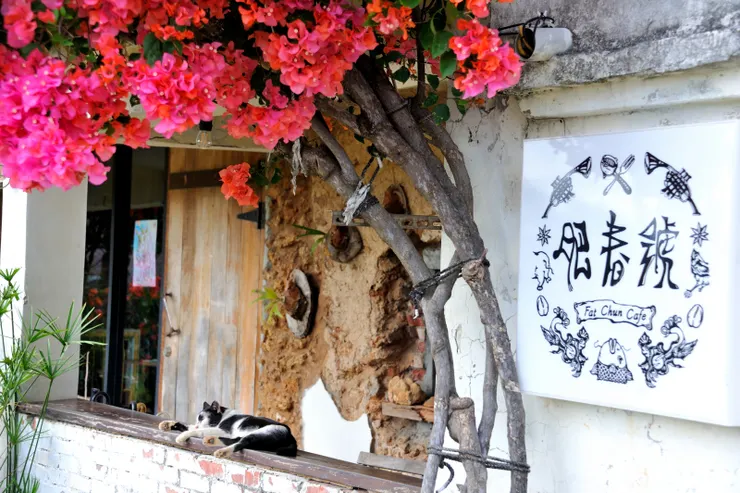 【十點高鐵左營站會合駛向肥春號 九重葛很美貓很自在食物還算好】