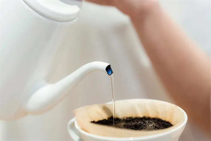 Hario V60 手沖咖啡濾杯萃取