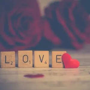 喜歡雨的微生物的沙龍