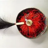 封疆大吏的沙龍