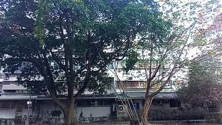 [新北旅遊]新店區溜公公園、北新藝術廣場，優質運動設施、堪比