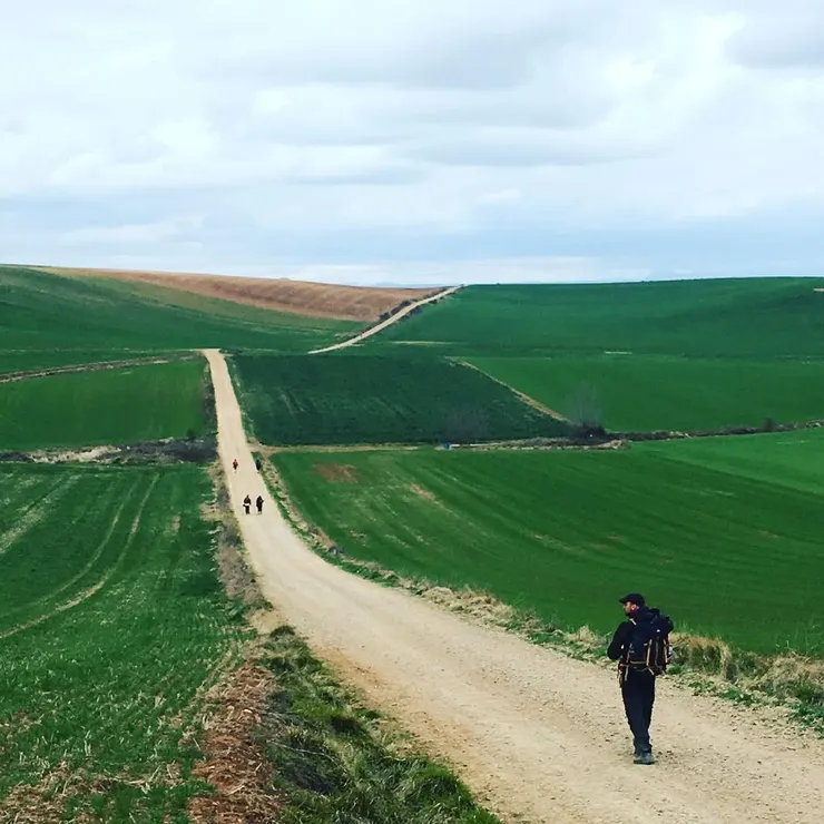 那天，我走在這條無盡的路上。不是為了趕路，而是為了讓那個不願面對的自己，終於願意現身。
