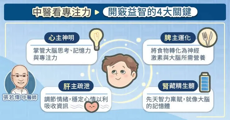 開竅益智的四大關鍵