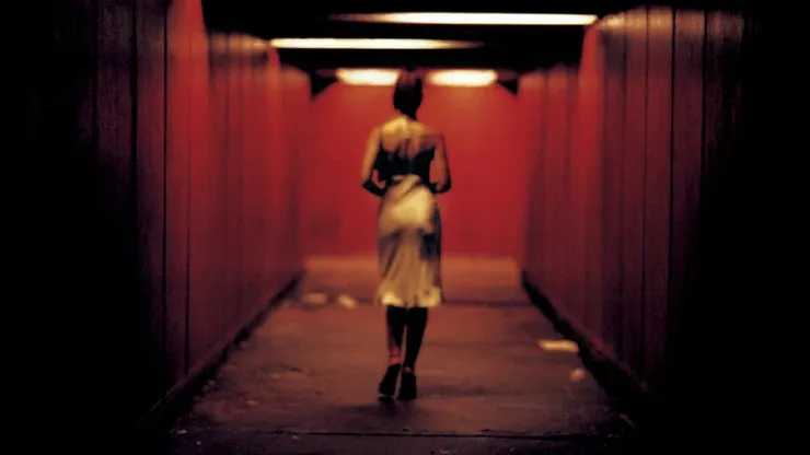 A woman was sexually assaulted by a man while walking in an underground tunnel late at night. Her head was grabbed and slammed against the ground until she passed out. This shot was captured in one long shot.