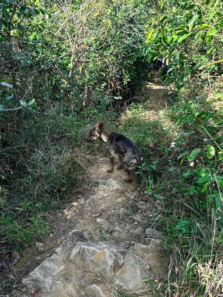 你要成為我的山友嗎？