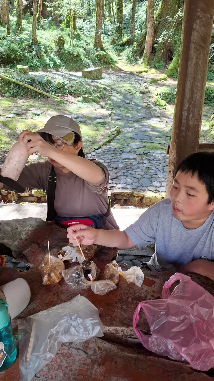午餐、野餐、好吃的滷味