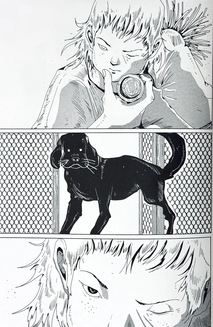 《刺蝟》是作者第一部長篇漫畫，改編自文國士《走過愛的蠻荒》