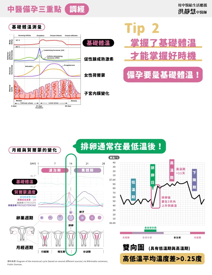 備孕量體溫的重要性