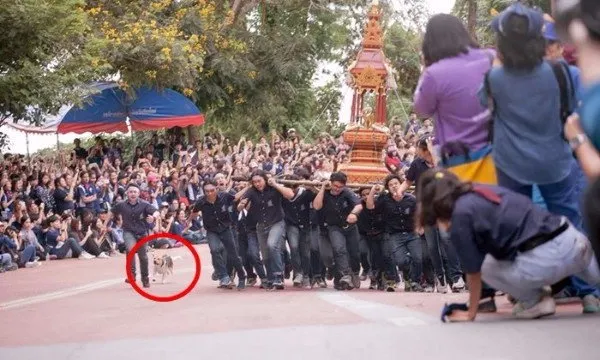 紅圈的疑惑，他是誰？