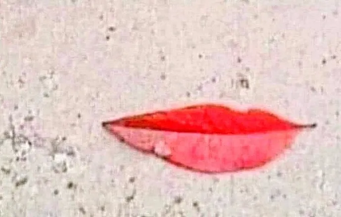 友人相贈網路圖片