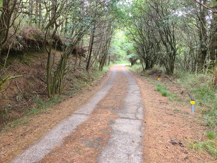 在這裡遇到，美好的登山情緒受影響