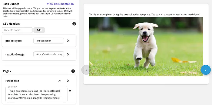 Task Interface Customization (Image credit: Scale AI)