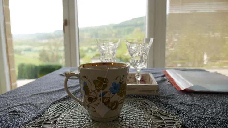 早上在Turnov的住宿悠閒的喝完茶，就準備回布拉格了