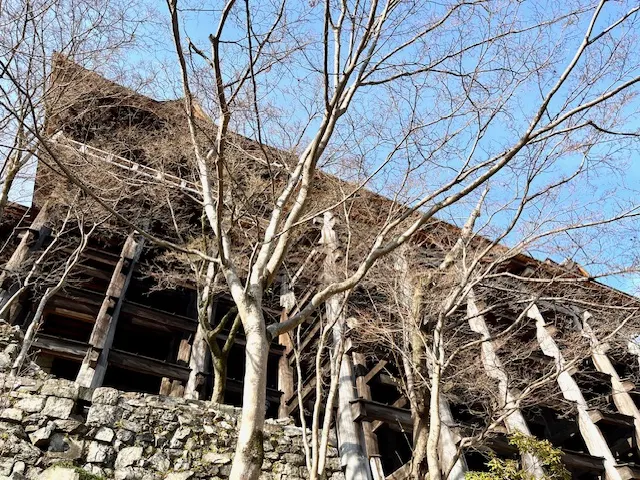 從清水舞台離開時，確實從側邊驚嘆了底下複雜的木構，僅有一張隨手抓拍照片未能傳遞眼見的感受