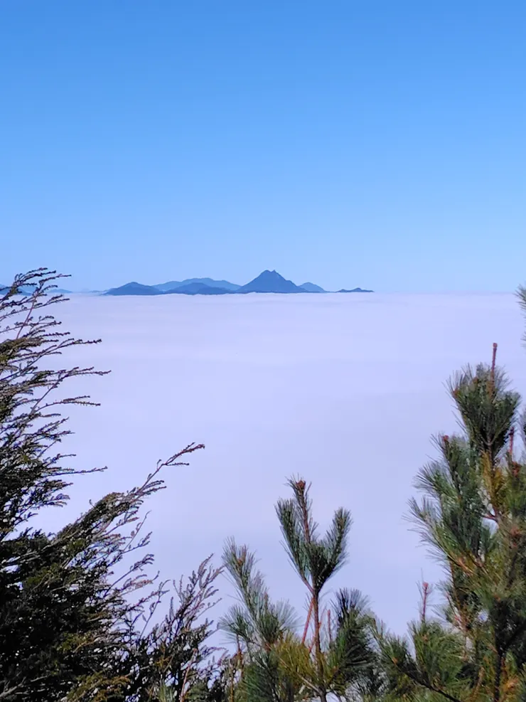 遠眺浮在雲海上的新康山。(Photo by. SHARP AQUOS sense8)