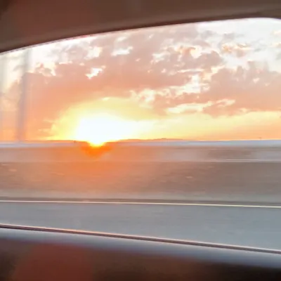 呷飽睏飽的沙龍