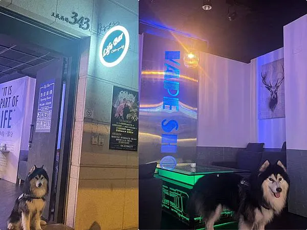 *(台中美食)雅典鑄鐵特色鍋燒意麵 / Life Bar餐酒