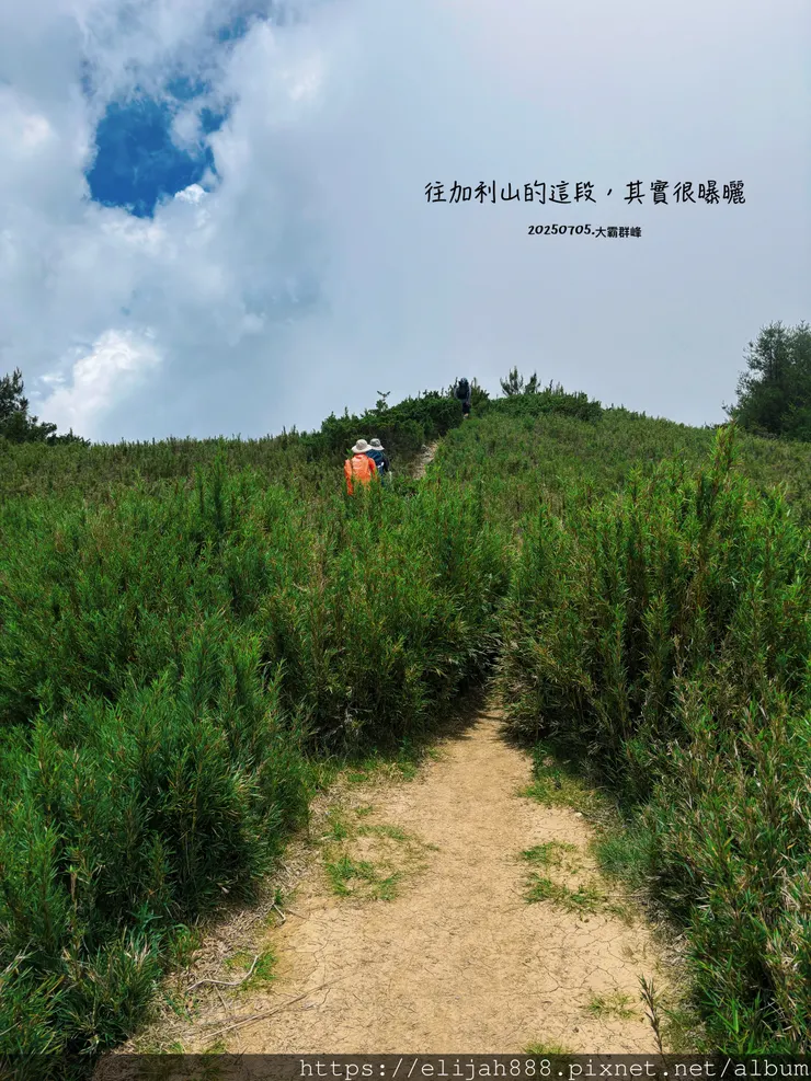 【大霸群峰4百岳。兩天一夜】伊澤山。小霸尖山。大霸尖山。加利