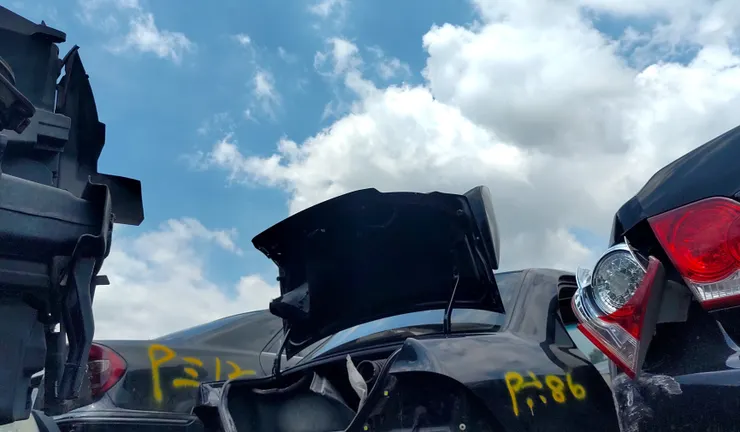 去年暑假跟老爸去殺肉場，很想再去一次...