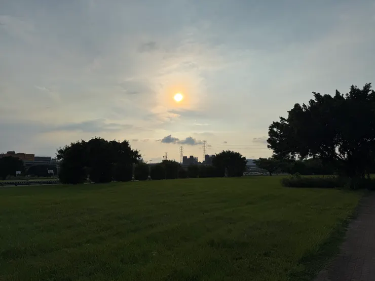 2025/09/14 傍晚運動看到大草皮