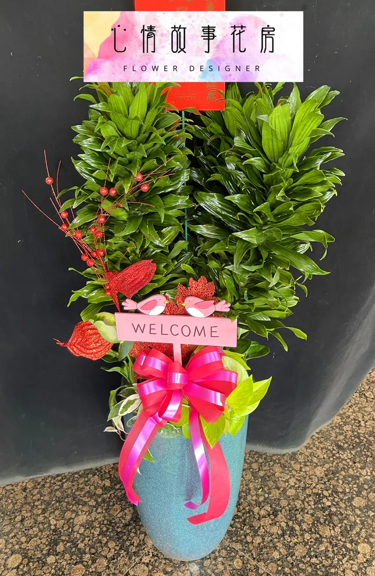 台南在地三十年｜心情故事花房提供八大多樣化花卉商品，從高雅蘭花到永生花，全方位滿足您的需求，品質保證、送達迅速